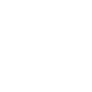 SC State University 1896